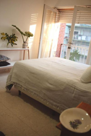 Ambiente cómodo y luminoso con balcón- Zona céntrica